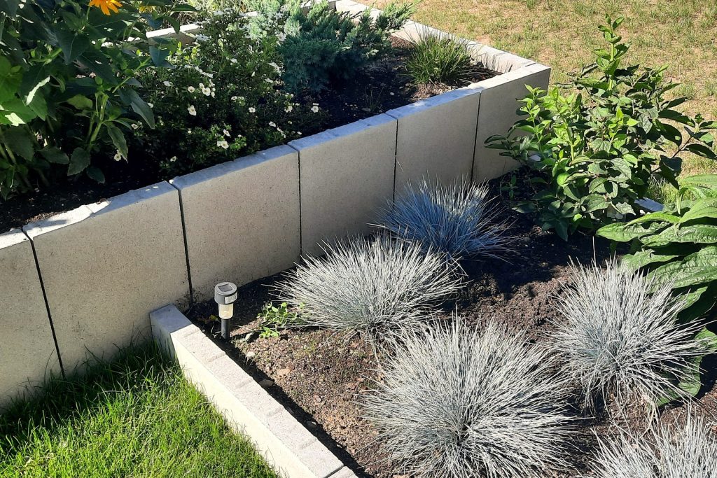 Kępy kostrzewy sinej w rabacie z betonowymi palisadami